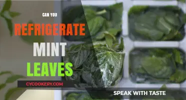 Refrigerating Mint Leaves: Best Practices for Freshness and Longevity