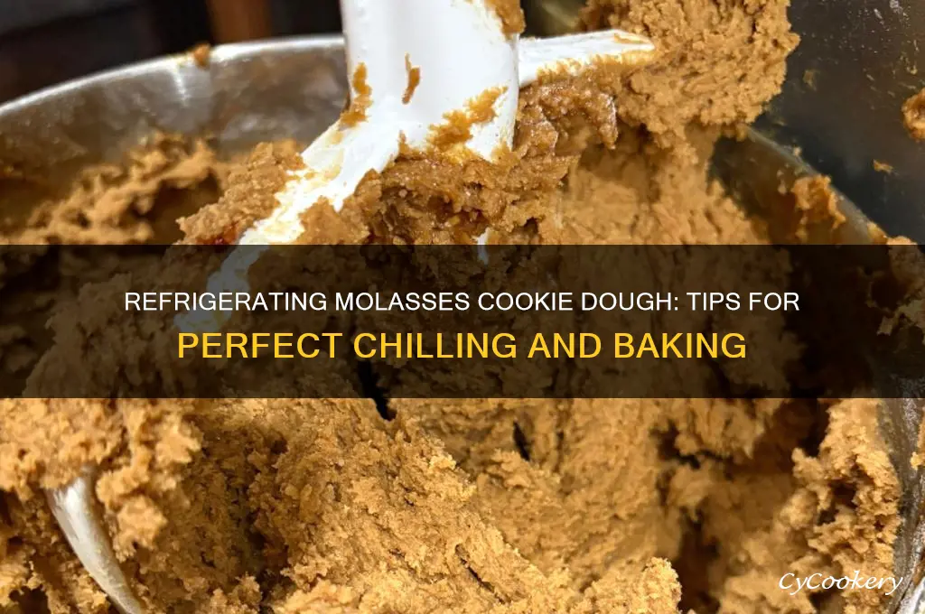 can you refrigerate molasses cookie dough