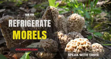Refrigerating Morels: Best Practices for Freshness and Flavor Preservation