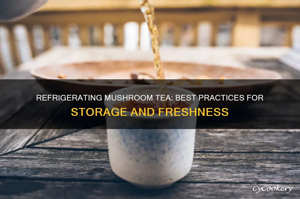 can you refrigerate mushroom tea