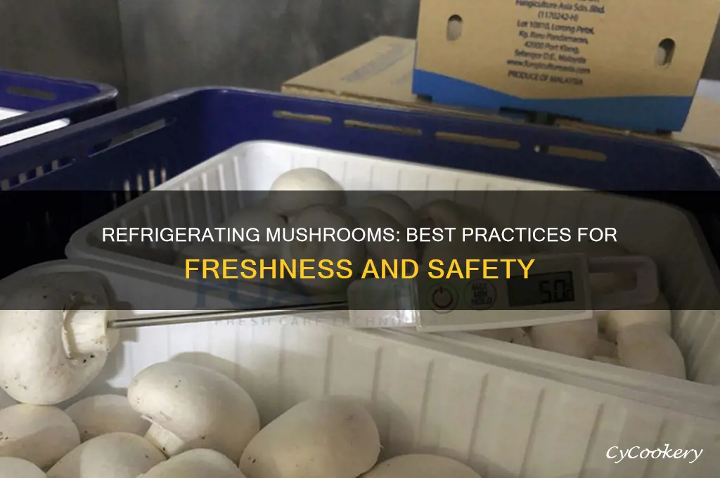 can you refrigerate mushroom
