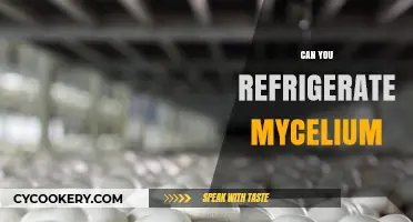 Refrigerating Mycelium: Best Practices for Preservation and Growth Success
