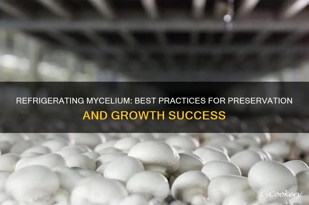 can you refrigerate mycelium