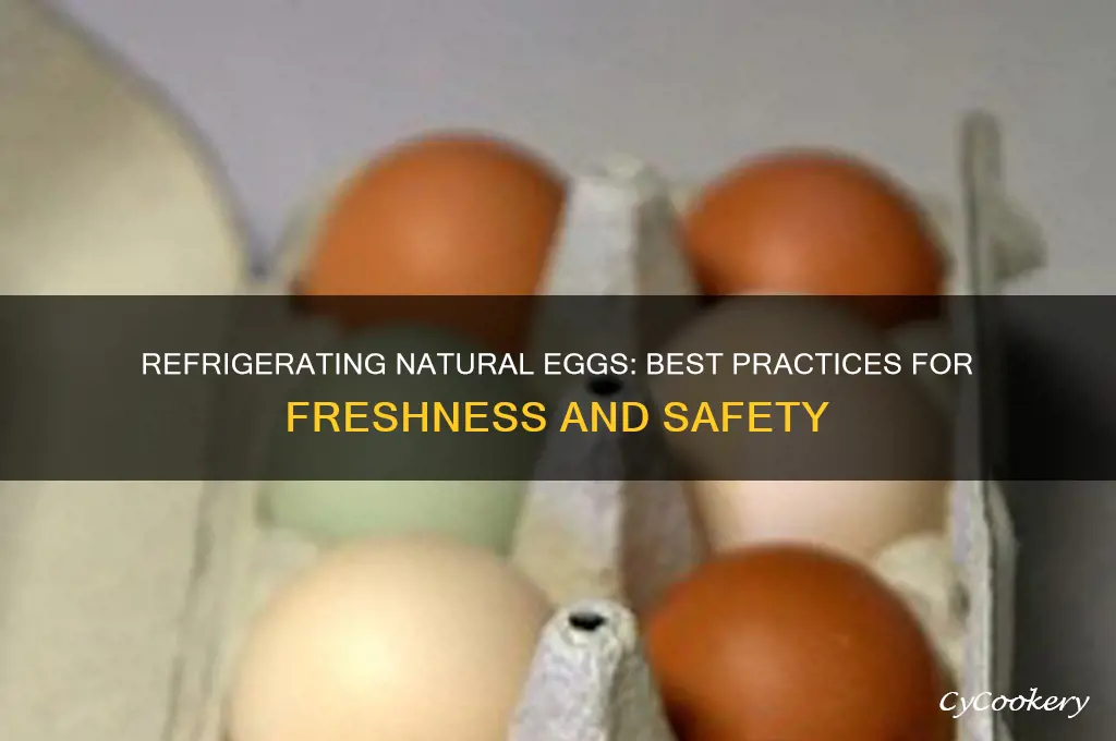 can you refrigerate natural eggs