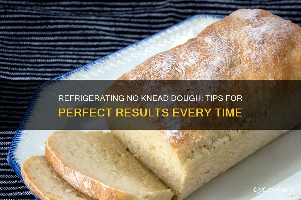can you refrigerate no knead dough