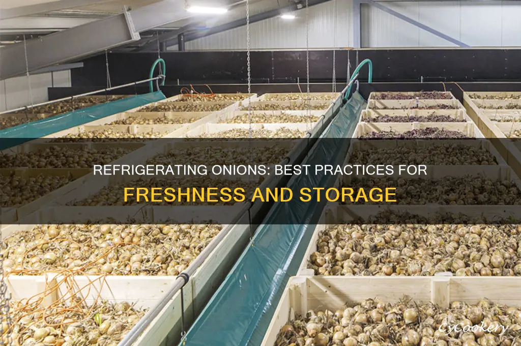 can you refrigerate onion