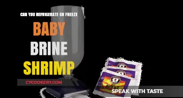 Refrigerating or Freezing Baby Brine Shrimp: A Complete Care Guide