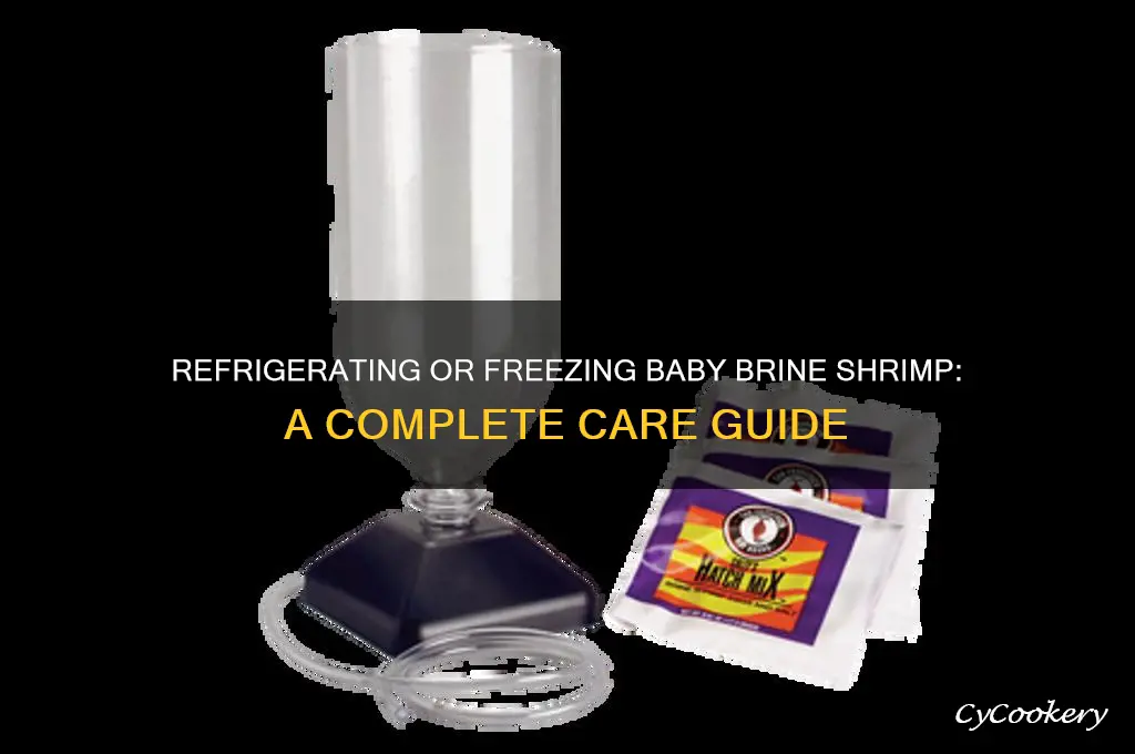 can you refrigerate or freeze baby brine shrimp
