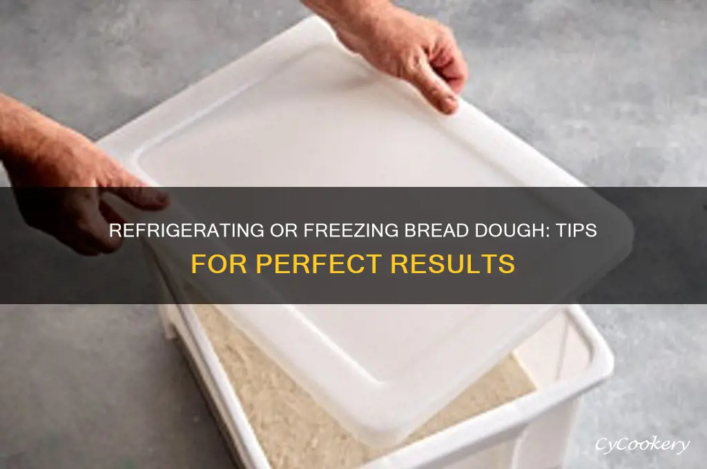 can you refrigerate or freeze brad dough