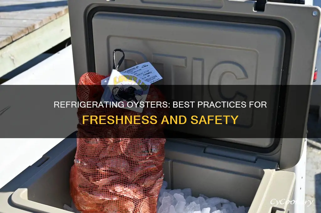 can you refrigerate oysters