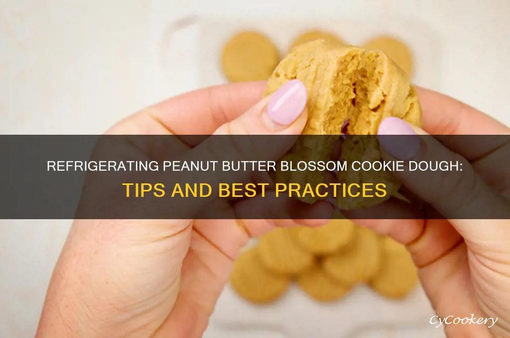 can you refrigerate peanut butter blossom cookie dough