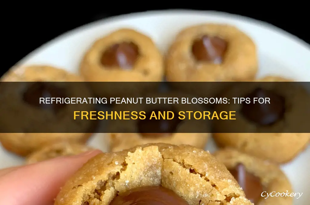 can you refrigerate peanut butter blossoms