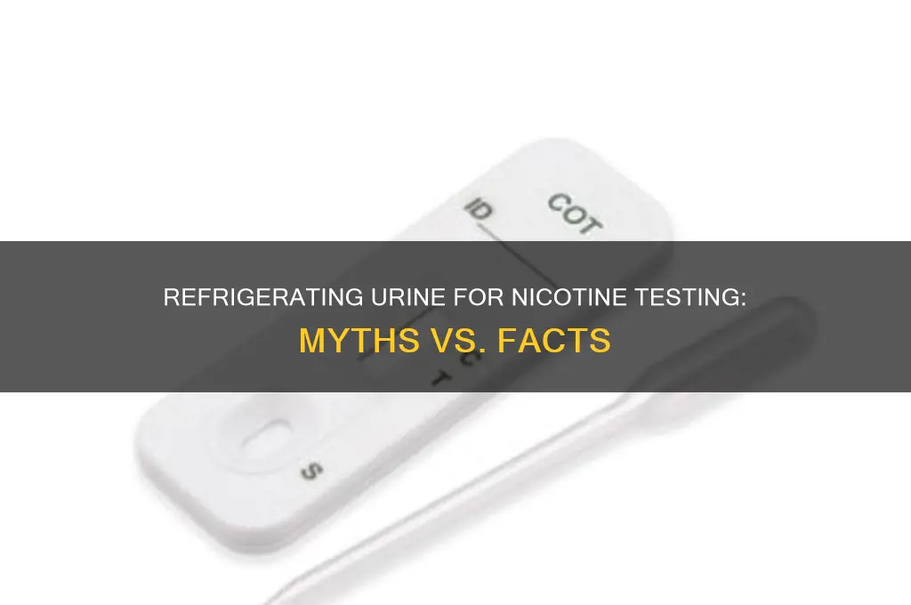 can you refrigerate pee to test for nicotine