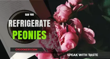 Refrigerating Peonies: Tips for Preserving Freshness and Beauty
