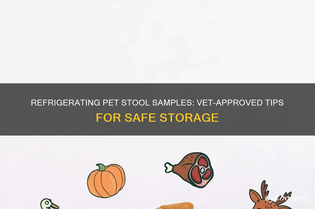 can you refrigerate pets stool sample for vet