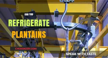 Refrigerating Plantains: Tips for Freshness and Longevity in Storage