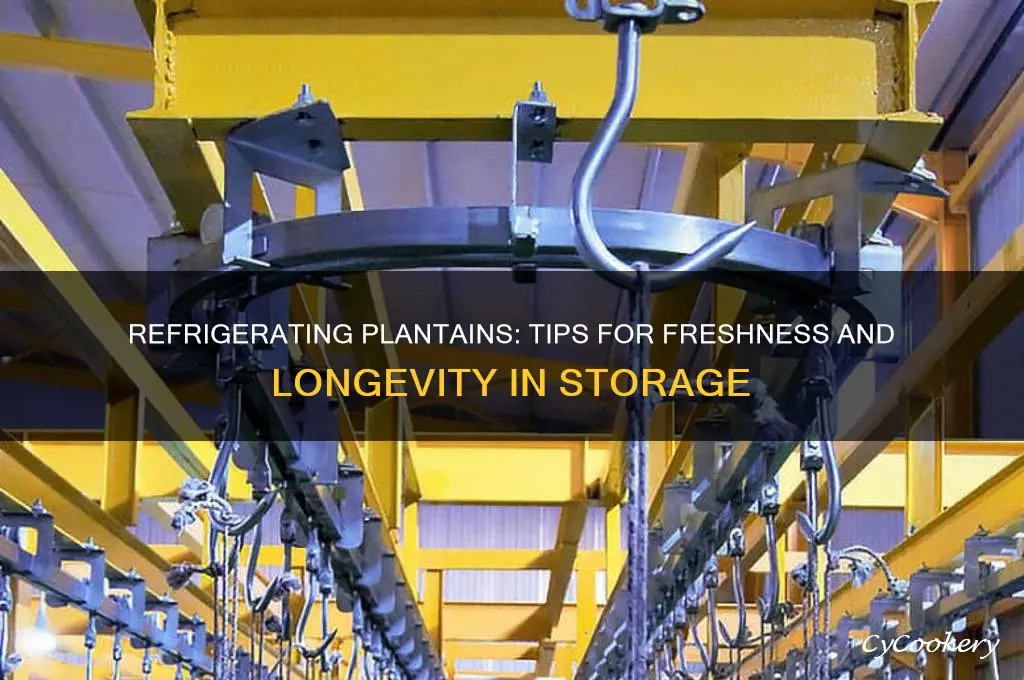 can you refrigerate plantains
