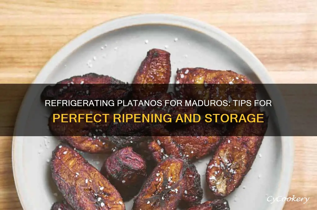 can you refrigerate platanos for maduros