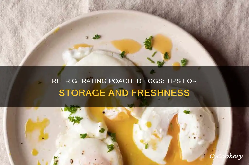 can you refrigerate poached eggs