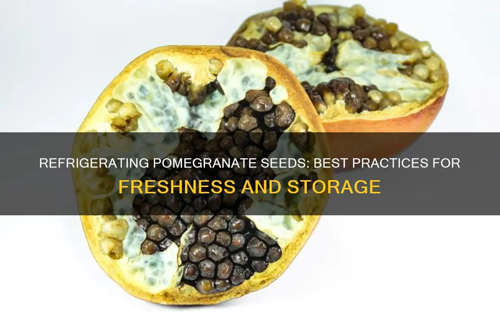 can you refrigerate pomegranate seeds