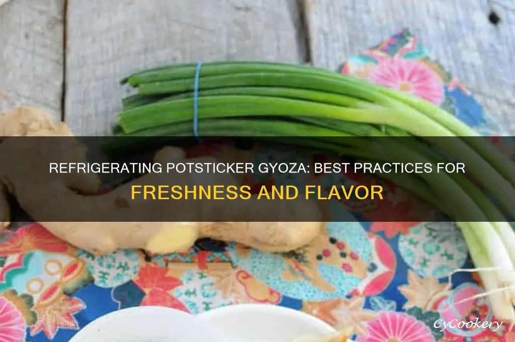can you refrigerate potsticker gyoza