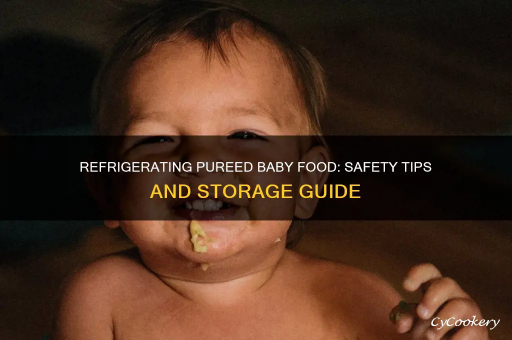 can you refrigerate pureed baby food