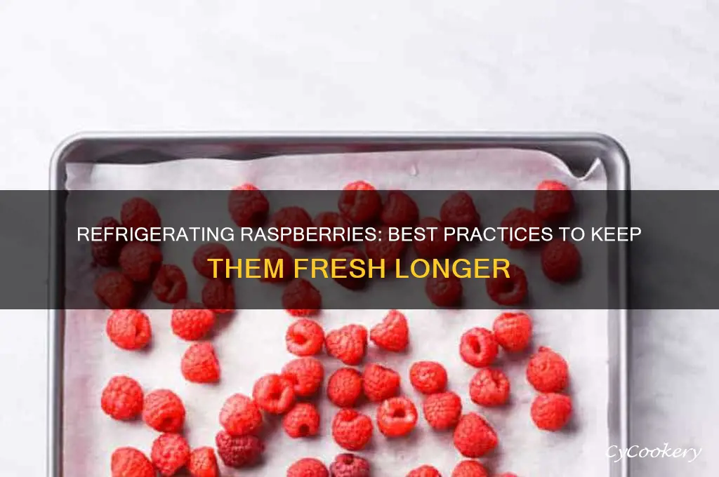 can you refrigerate raspberries