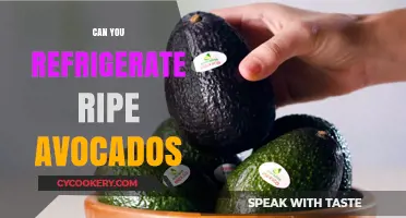Refrigerating Ripe Avocados: Tips to Preserve Freshness and Flavor