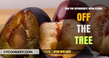 Refrigerating Ripening Plums: Best Practices for Freshness and Flavor