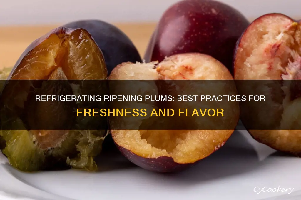 can you refrigerate ripen plums off the tree