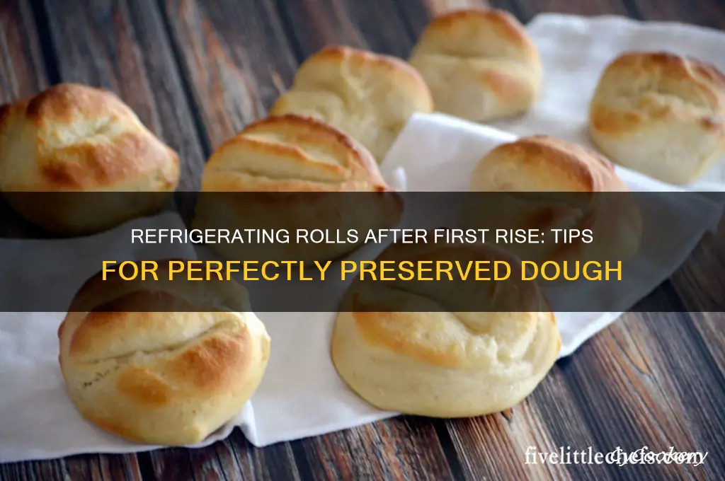 can you refrigerate rolls after first rise
