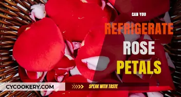 Refrigerating Rose Petals: Tips for Preservation and Freshness