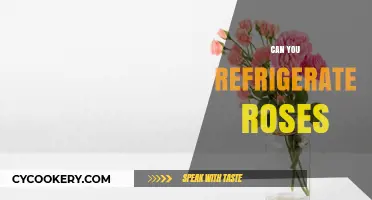 Refrigerating Roses: A Guide to Preserving Freshness and Beauty