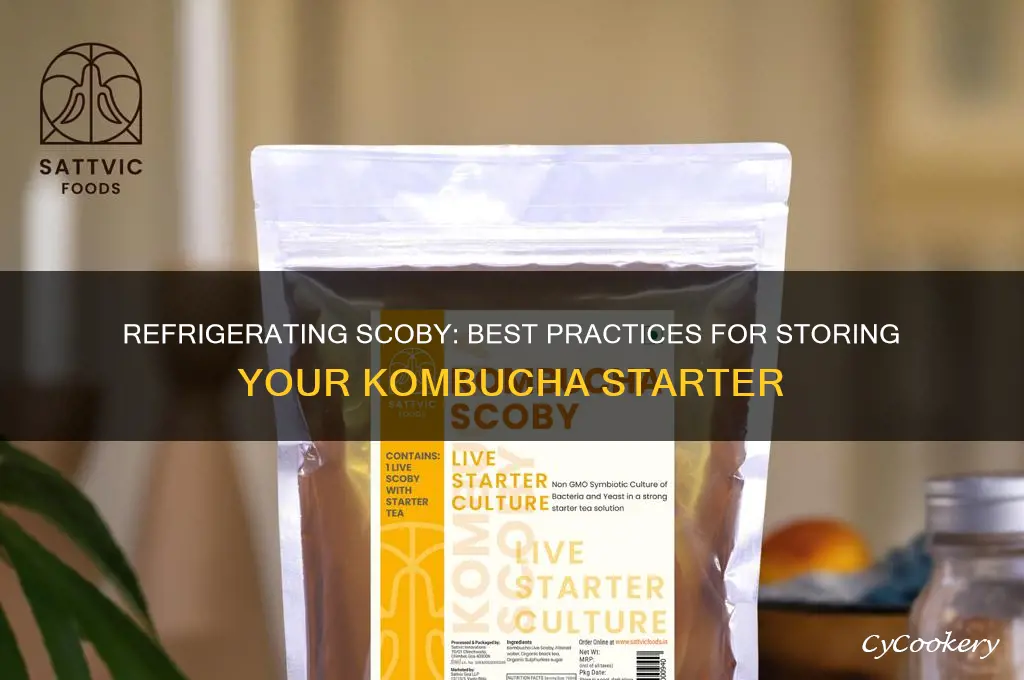 can you refrigerate scoby