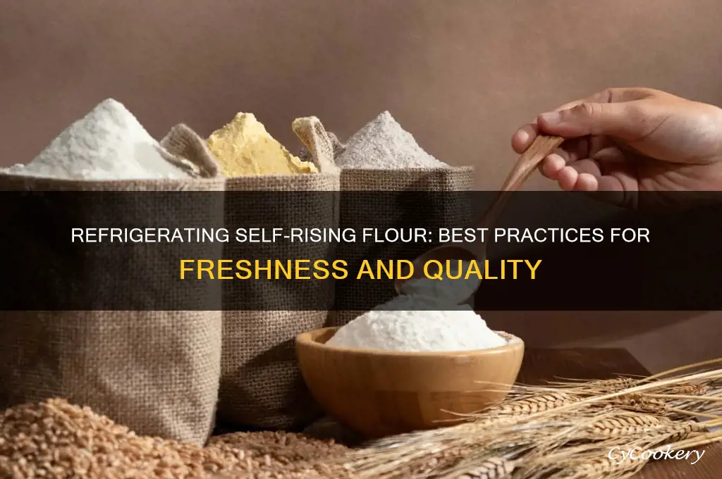 can you refrigerate self rising flour