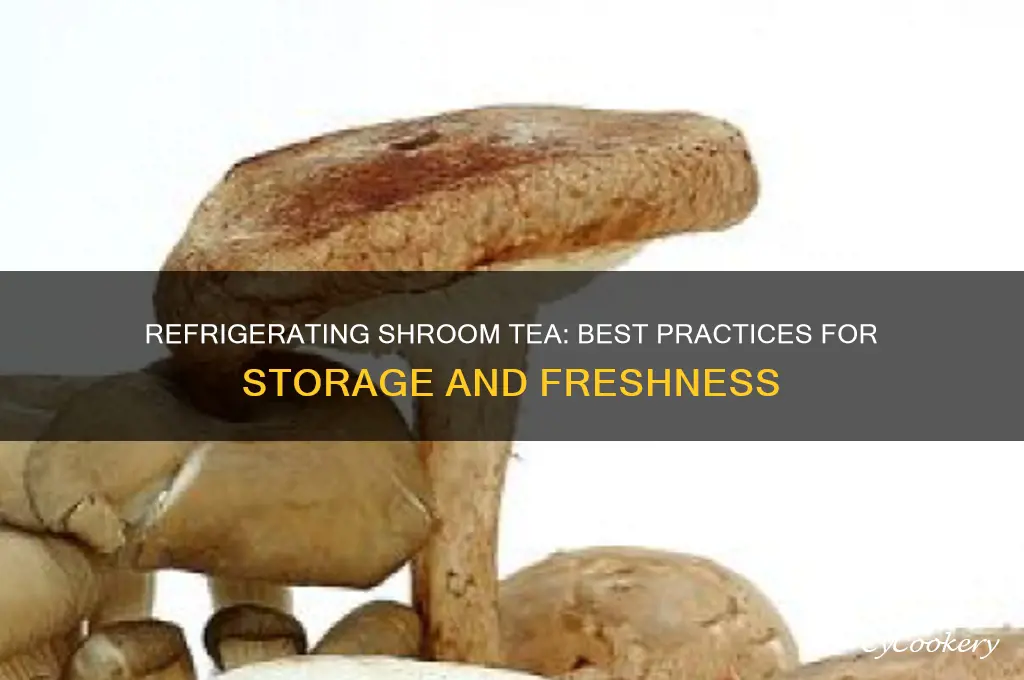 can you refrigerate shroom tea