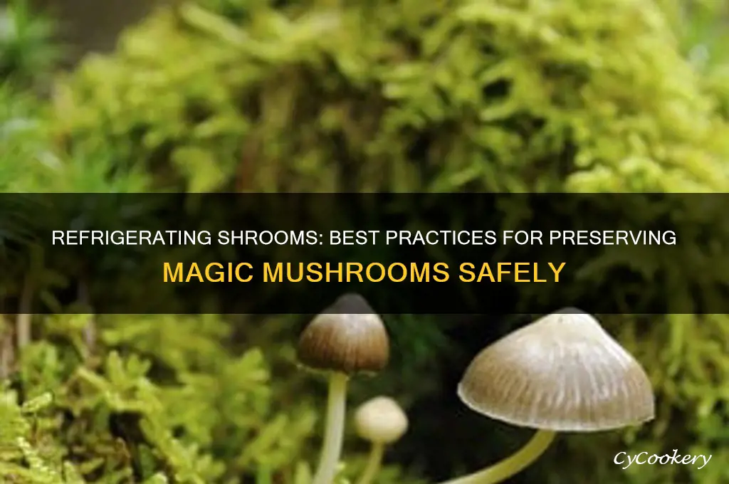 can you refrigerate shrooms