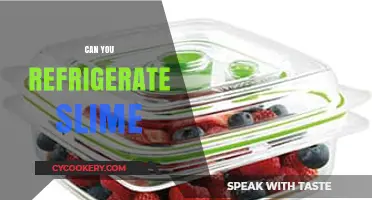Can You Refrigerate Slime? Tips for Storing and Preserving Homemade Goo