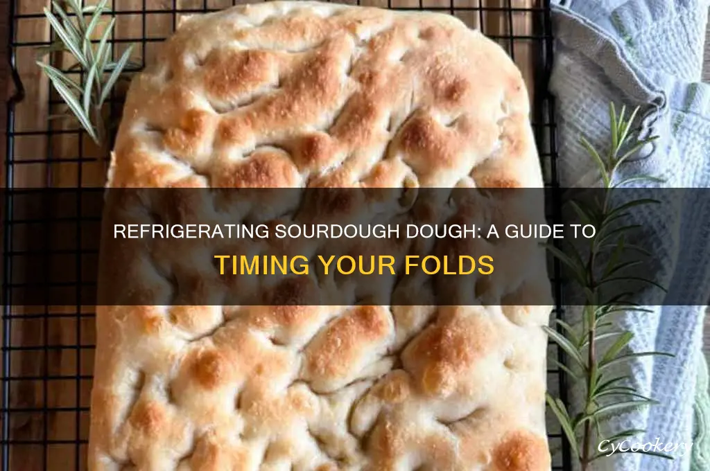can you refrigerate sourdough dough before folding