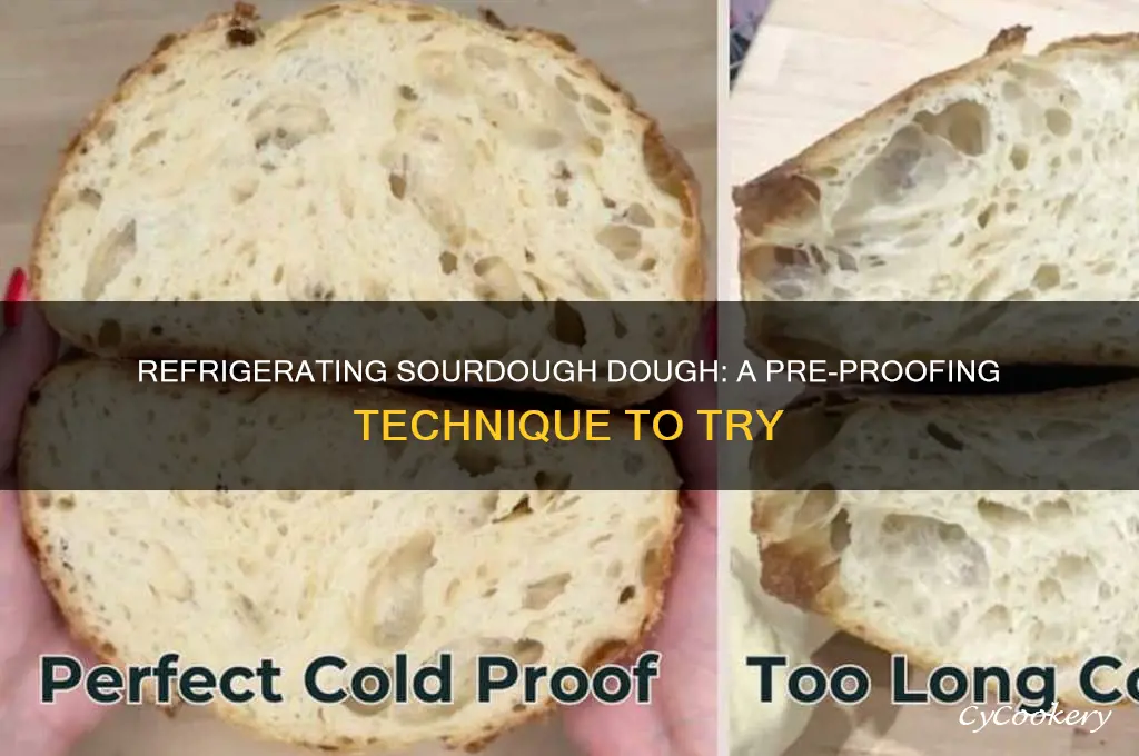 can you refrigerate sourdough dough before proofing