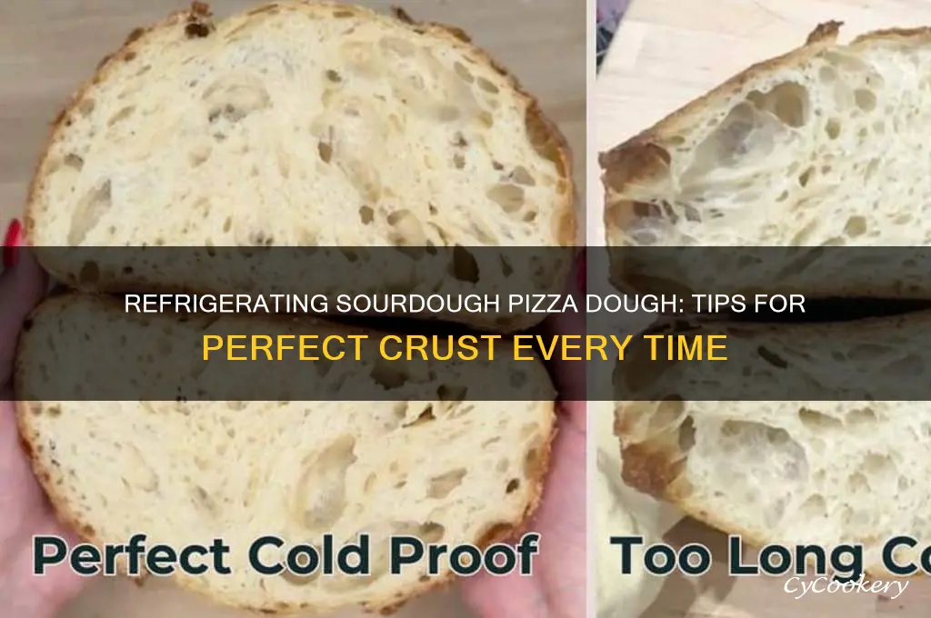 can you refrigerate sourdough pizza dough