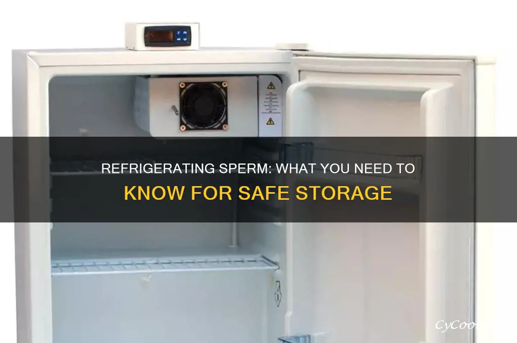 can you refrigerate sperm