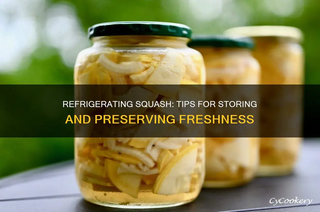 can you refrigerate squash