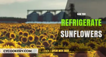 Refrigerating Sunflowers: Tips to Preserve Freshness and Extend Vase Life