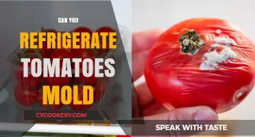 Refrigerating Moldy Tomatoes: Safe Practices and Storage Tips