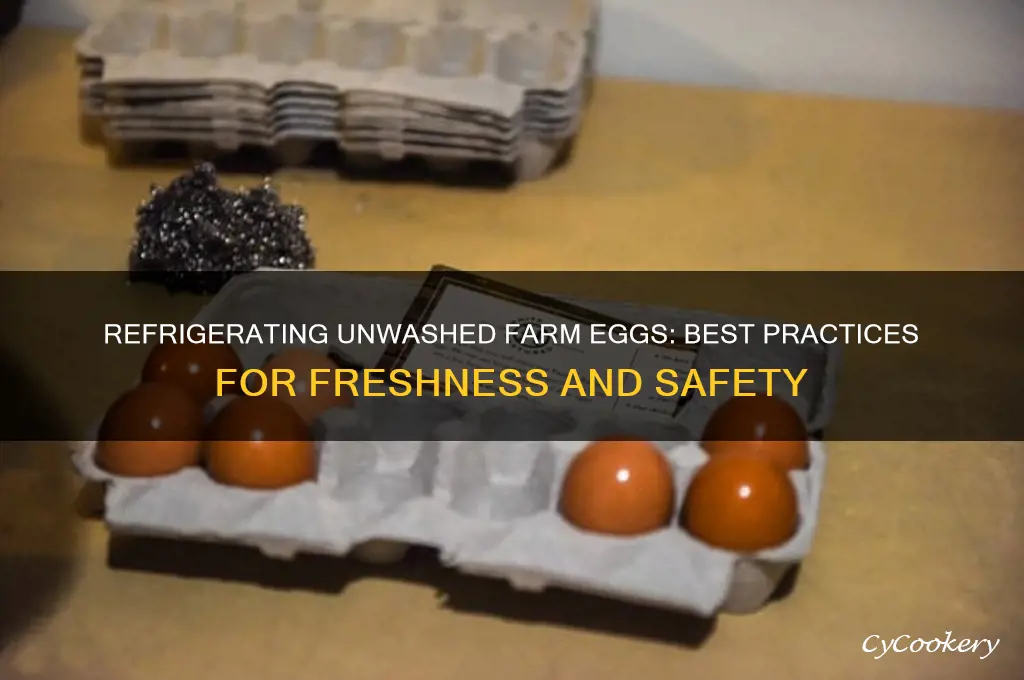 can you refrigerate unwashed farm eggs