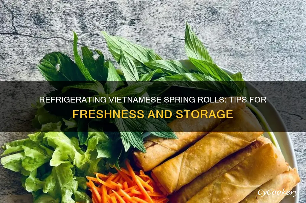 can you refrigerate vieetnamese spring rolls