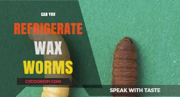Refrigerating Wax Worms: Best Practices for Storage and Care