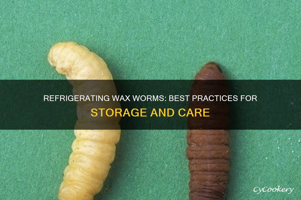 can you refrigerate wax worms