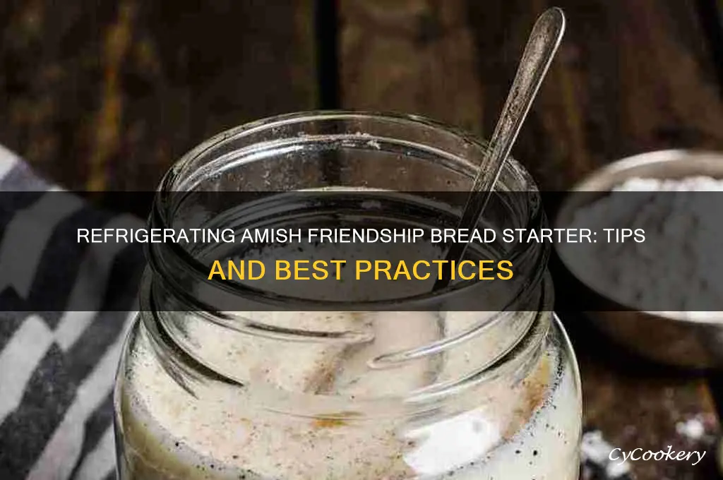 can you refrigerate you amish friendship bread starter